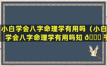 小白学会八字命理学有用吗（小白学会八字命理学有用吗知 🍀 乎）